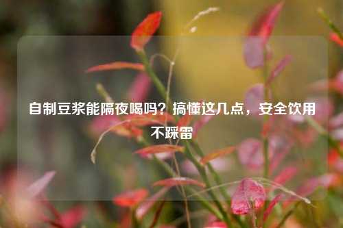 自制豆浆能隔夜喝吗?搞懂这几点,安全饮用不踩雷
