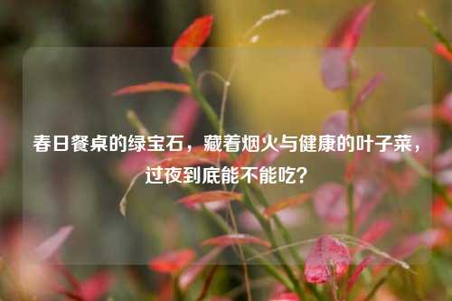 春日餐桌的绿宝石,藏着烟火与健康的叶子菜,过夜到底能不能吃?