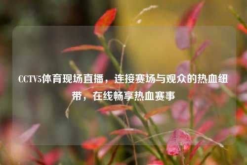 CCTV5体育现场直播，连接赛场与观众的热血纽带，在线畅享热血赛事