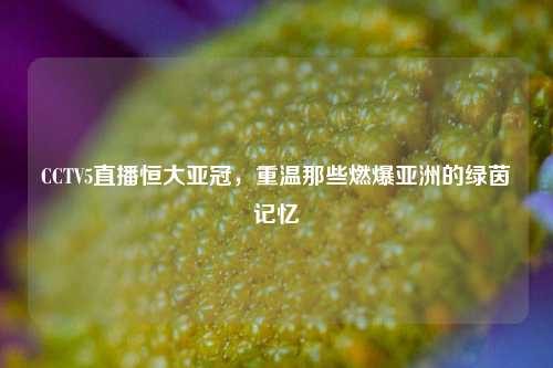CCTV5直播恒大亚冠，重温那些燃爆亚洲的绿茵记忆