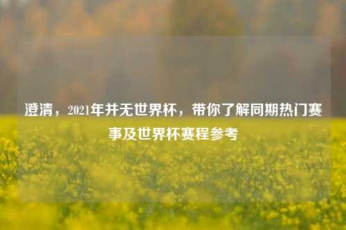 澄清,2021年并无世界杯,带你了解同期热门赛事及世界杯赛程参考