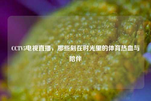 CCTV5电视直播，那些刻在时光里的体育热血与陪伴