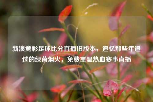 新浪竞彩足球比分直播旧版本,追忆那些年追过的绿茵烟火,免费重温热血赛事直播