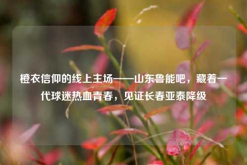 橙衣信仰的线上主场——山东鲁能吧,藏着一代球迷热血青春,见证长春亚泰降级