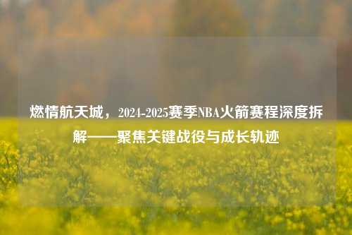 燃情航天城,2024-2025赛季NBA火箭赛程深度拆解——聚焦关键战役与成长轨迹