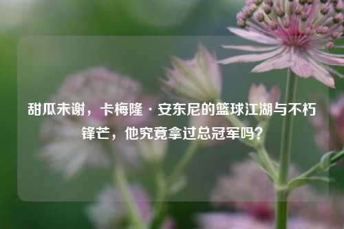 甜瓜未谢,卡梅隆·安东尼的篮球江湖与不朽锋芒,他究竟拿过总冠军吗?