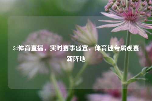 54体育直播,实时赛事盛宴,体育迷专属观赛新阵地