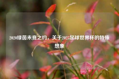 2020绿茵未竟之约，关于2025足球世界杯的特殊想象