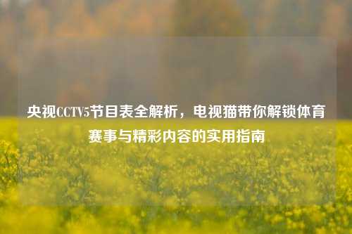 央视CCTV5节目表全解析,电视猫带你解锁体育赛事与精彩内容的实用指南