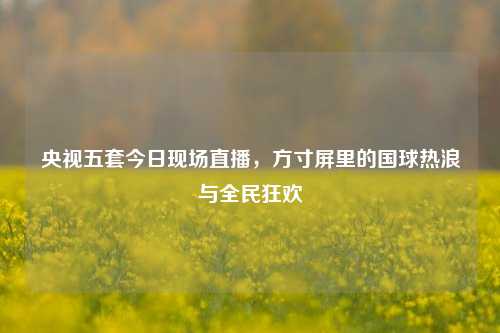 央视五套今日现场直播,方寸屏里的国球热浪与全民狂欢