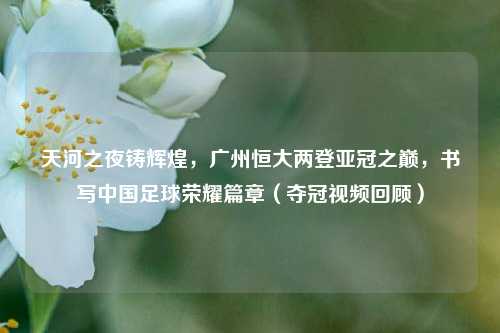 天河之夜铸辉煌,广州恒大两登亚冠之巅,书写中国足球荣耀篇章(夺冠视频回顾)