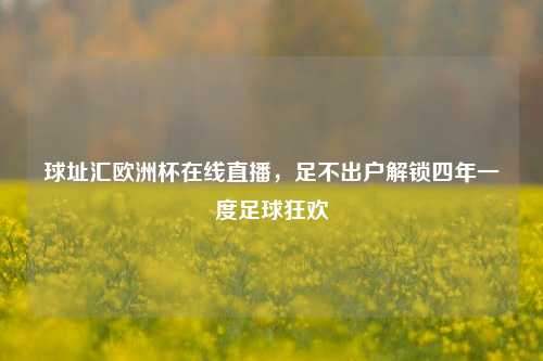球址汇欧洲杯在线直播，足不出户解锁四年一度足球狂欢
