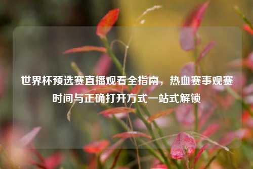 世界杯预选赛直播观看全指南,热血赛事观赛时间与正确打开方式一站式解锁