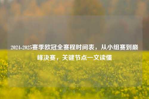 2024-2025赛季欧冠全赛程时间表,从小组赛到巅峰决赛,关键节点一文读懂
