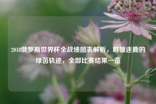 2018俄罗斯世界杯全战绩图表解析，群雄逐鹿的绿茵轨迹，全部比赛结果一览