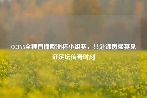CCTV5全程直播欧洲杯小组赛，共赴绿茵盛宴见证足坛传奇时刻