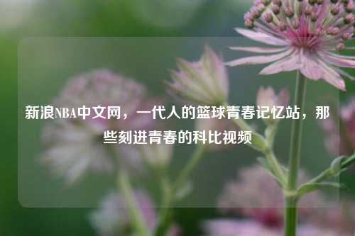 新浪NBA中文网,一代人的篮球青春记忆站,那些刻进青春的科比视频