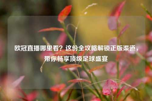 欧冠直播哪里看?这份全攻略解锁正版渠道,带你畅享顶级足球盛宴