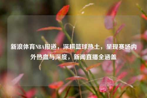 新浪体育NBA报道,深耕篮球热土,呈现赛场内外热血与深度,新闻直播全涵盖