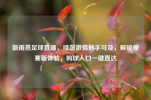 新雨燕足球直播,绿茵激情触手可及,解锁观赛新体验,购球入口一键直达