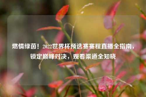 燃情绿茵！2022世界杯预选赛赛程直播全指南，锁定巅峰对决，观看渠道全知晓