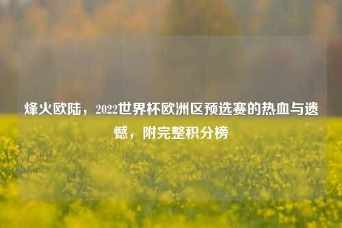 烽火欧陆,2022世界杯欧洲区预选赛的热血与遗憾,附完整积分榜