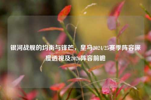 银河战舰的均衡与锋芒，皇马2024/25赛季阵容深度透视及2026阵容前瞻