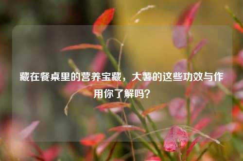 藏在餐桌里的营养宝藏,大薯的这些功效与作用你了解吗?