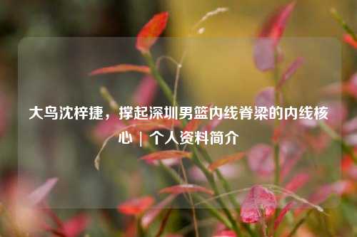 大鸟沈梓捷，撑起深圳男篮内线脊梁的内线核心 | 个人资料简介