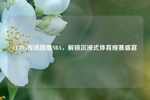 CCTV5现场直播NBA，解锁沉浸式体育观赛盛宴