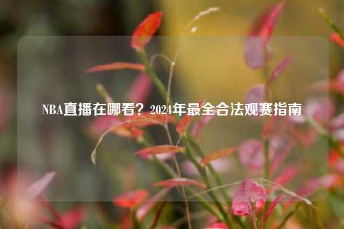 NBA直播在哪看？2024年最全合法观赛指南