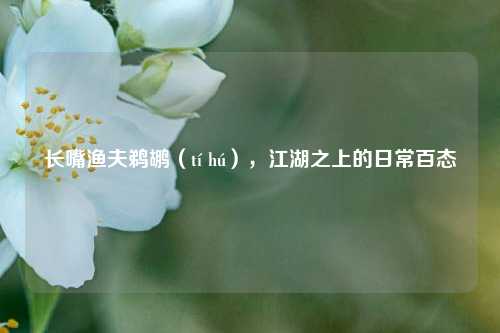 长嘴渔夫鹈鹕(tí hú),江湖之上的日常百态