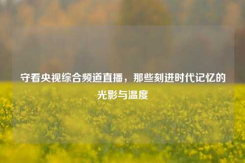 守看央视综合频道直播,那些刻进时代记忆的光影与温度