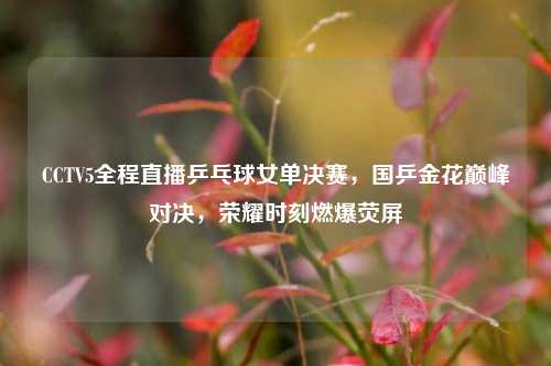 CCTV5全程直播乒乓球女单决赛，国乒金花巅峰对决，荣耀时刻燃爆荧屏