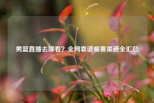 男篮直播去哪看?全网靠谱观赛渠道全汇总