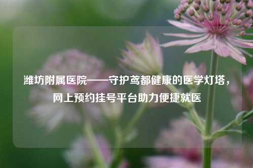潍坊附属医院——守护鸢都健康的医学灯塔,网上预约挂号平台助力便捷就医