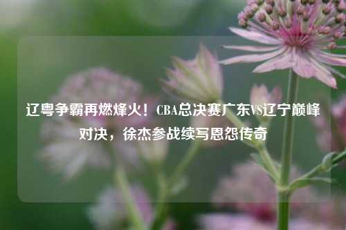 辽粤争霸再燃烽火!CBA总决赛广东VS辽宁巅峰对决,徐杰参战续写恩怨传奇