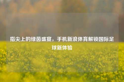 指尖上的绿茵盛宴,手机新浪体育解锁国际足球新体验