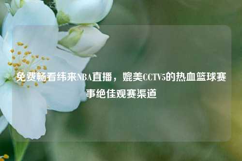 免费畅看纬来NBA直播,媲美CCTV5的热血篮球赛事绝佳观赛渠道