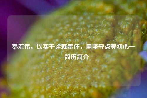 秦宏伟,以实干诠释责任,用坚守点亮初心——简历简介