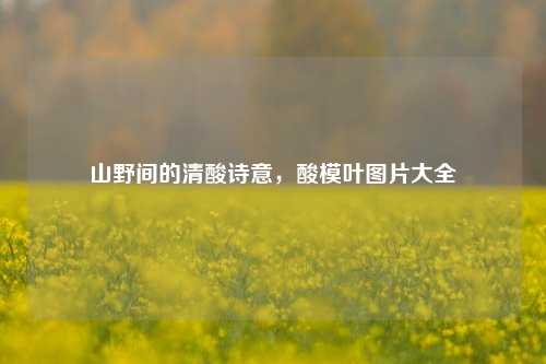 山野间的清酸诗意，酸模叶图片大全