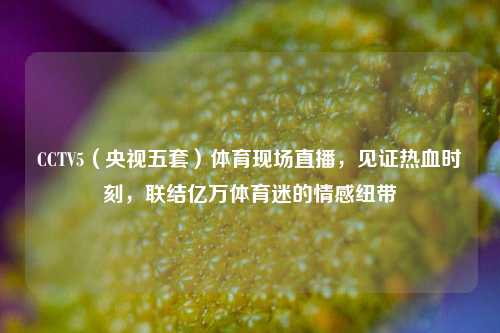 CCTV5(央视五套)体育现场直播,见证热血时刻,联结亿万体育迷的情感纽带