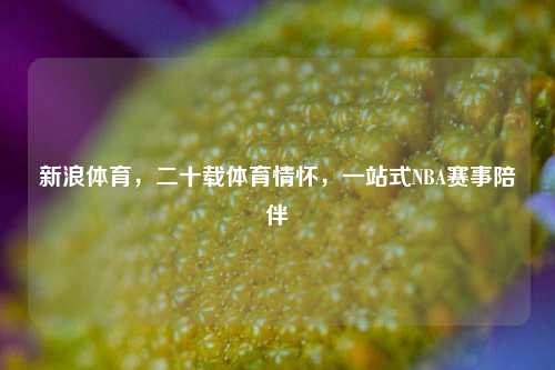 新浪体育,二十载体育情怀,一站式NBA赛事陪伴