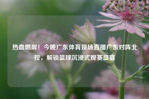热血燃屏！今晚广东体育现场直播广东对阵北控，解锁篮球沉浸式观赛盛宴