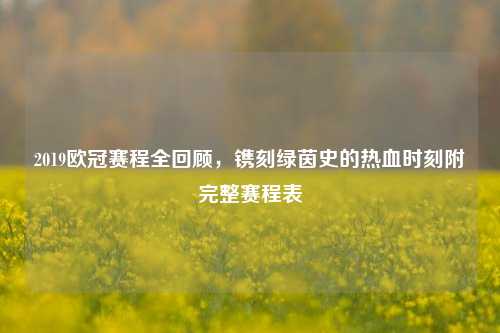 2019欧冠赛程全回顾,镌刻绿茵史的热血时刻附完整赛程表