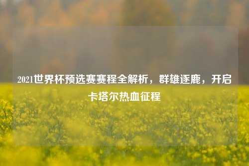 2021世界杯预选赛赛程全解析,群雄逐鹿,开启卡塔尔热血征程