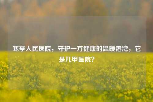 寒亭人民医院，守护一方健康的温暖港湾，它是几甲医院？