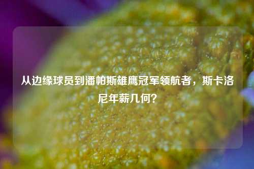 从边缘球员到潘帕斯雄鹰冠军领航者,斯卡洛尼年薪几何?
