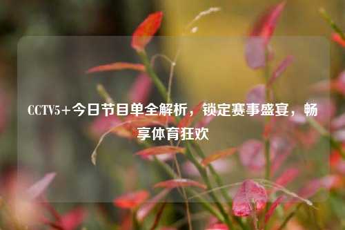 CCTV5+今日节目单全解析，锁定赛事盛宴，畅享体育狂欢