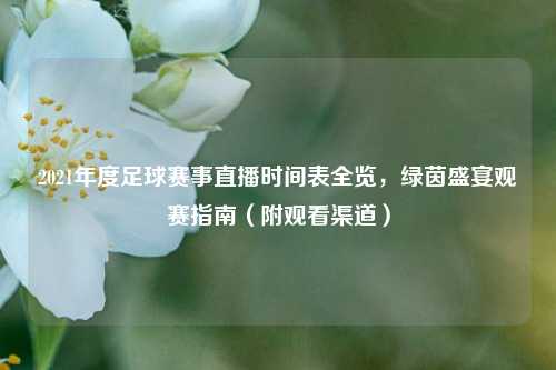 2021年度足球赛事直播时间表全览,绿茵盛宴观赛指南(附观看渠道)